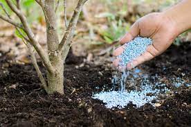 Urea Products